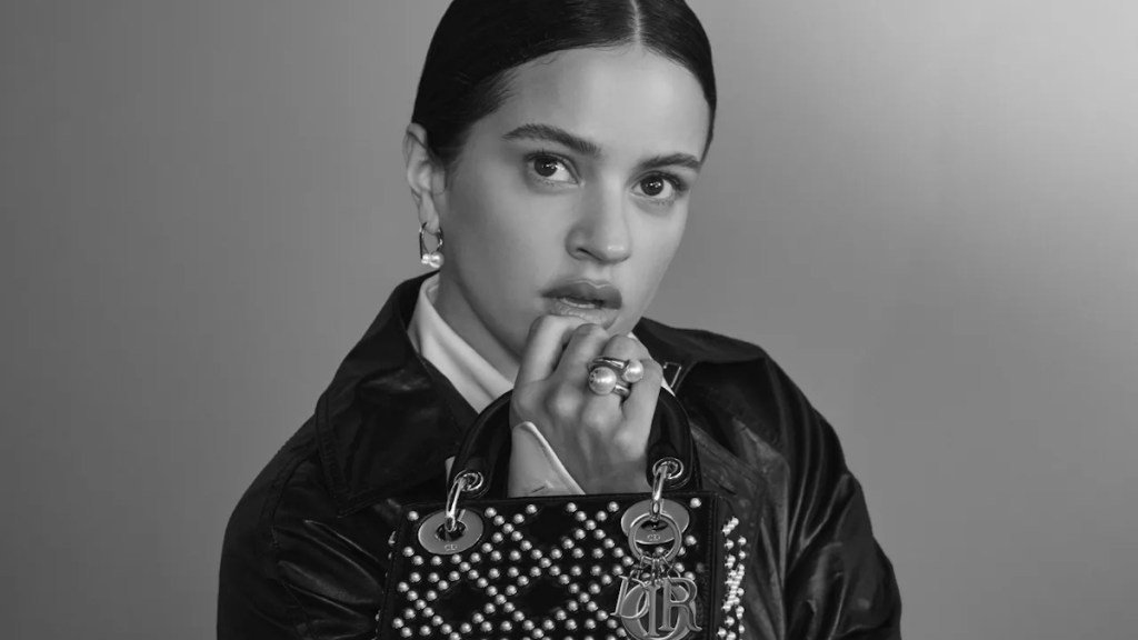 Christian Dior ‘Lady Dior’ Handbags 2024 : Rosalía by Collier Schorr