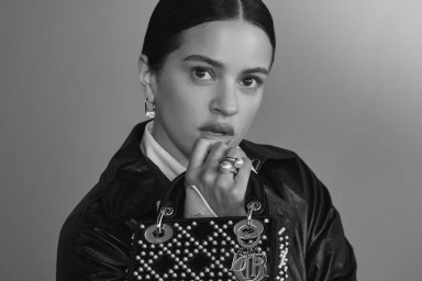 Christian Dior ‘Lady Dior’ Handbags 2024 : Rosalía by Collier Schorr