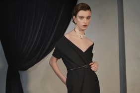 Christian Dior Pre-Fall 2024 by Collier Schorr